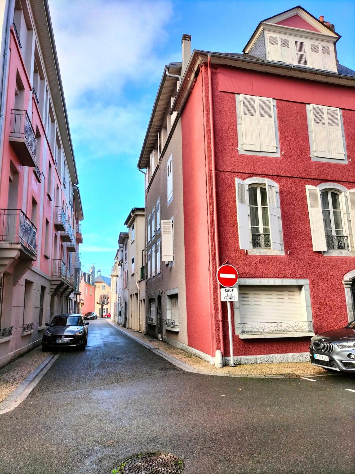 La Roseraie, Loft 3 Etoiles, Calme Et Ensoleille Au Pied Des Pyrenees Bagneres-de-Bigorre Ngoại thất bức ảnh